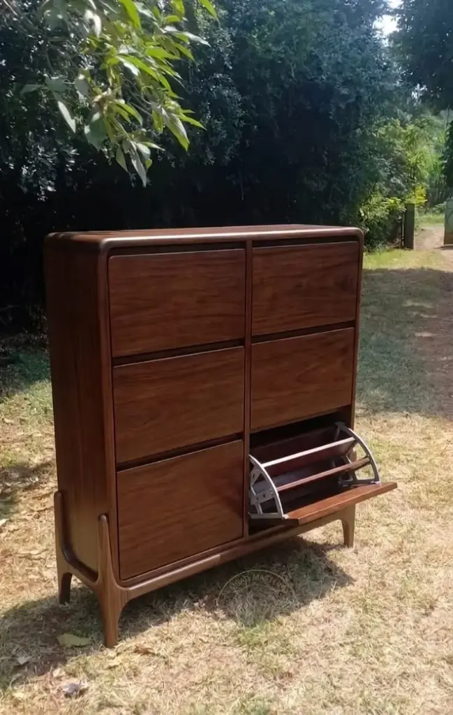 Hatua Vault Shoe rack