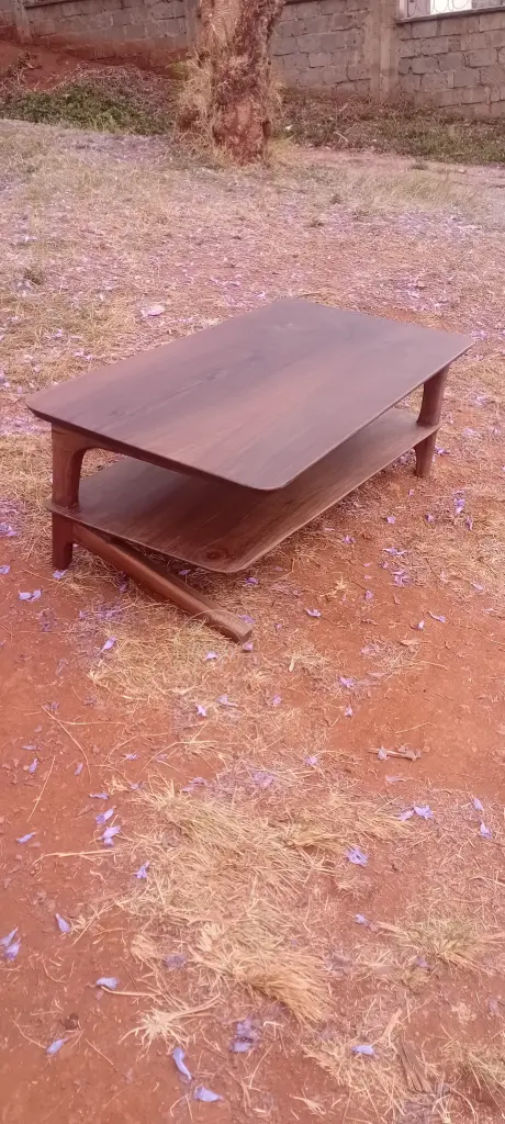 Anemone & Arc Coffee Table 