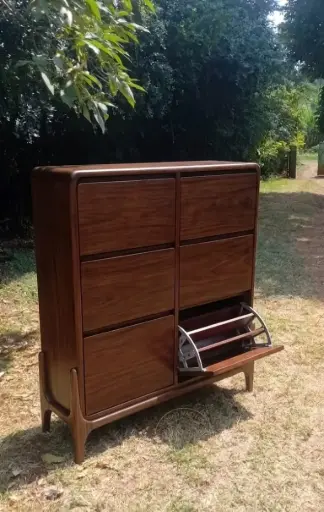 Hatua Vault Shoe rack